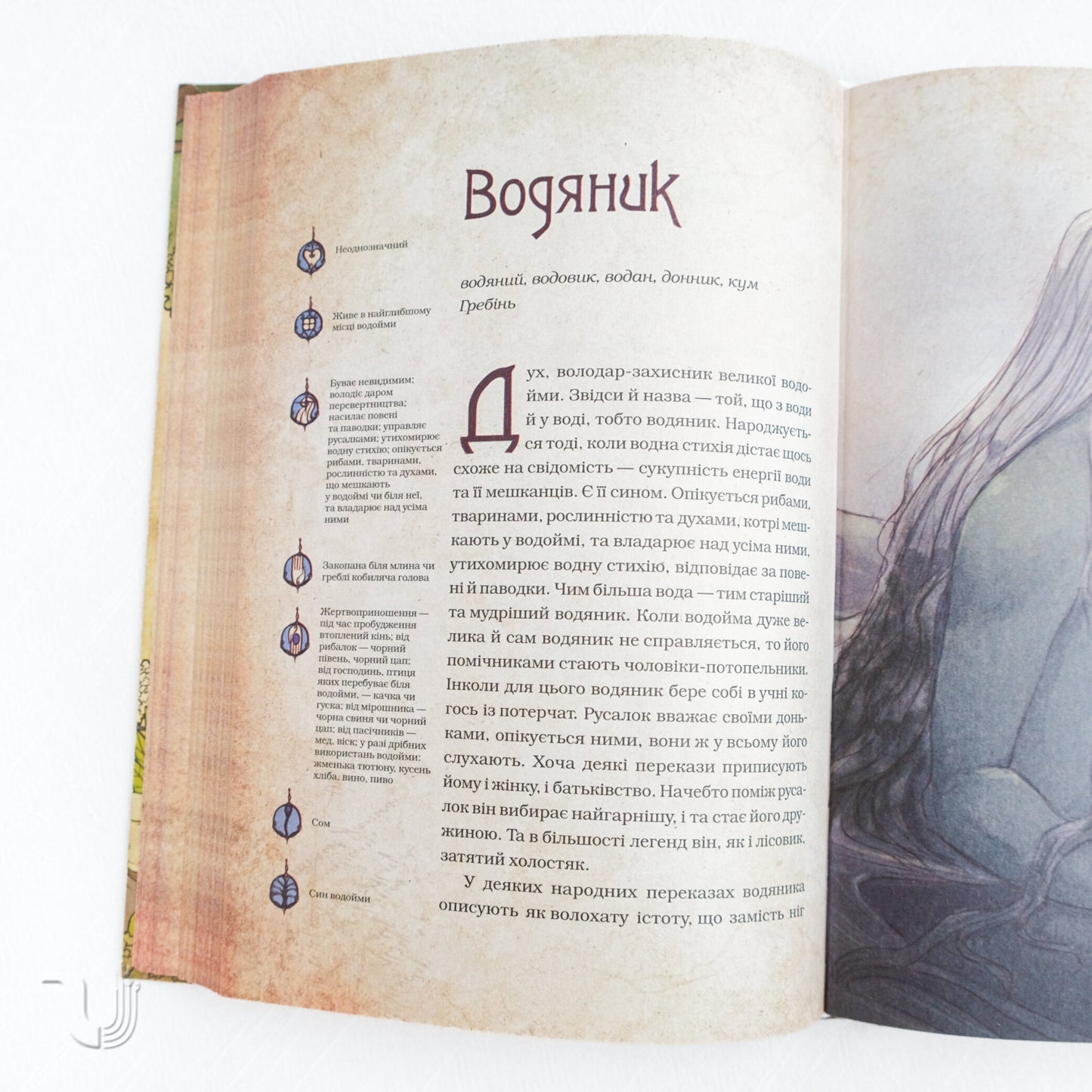 Чарівні істоти українського міфу. Духи природи