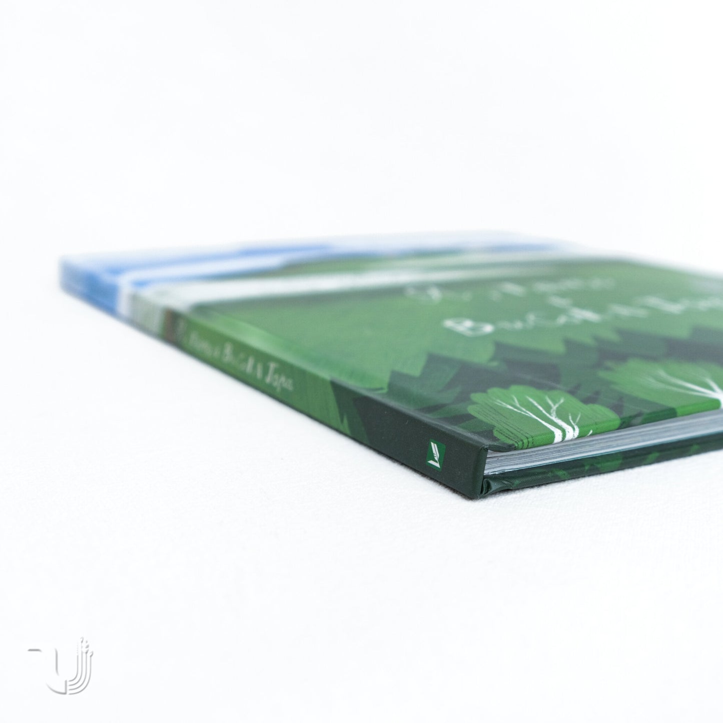 Me, Dad and High Mountain