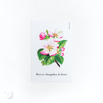 Листівка «Нічого не є випадковим»