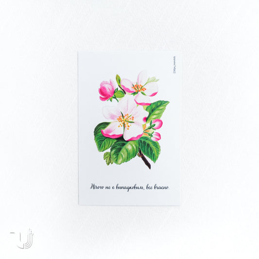 Листівка «Нічого не є випадковим»