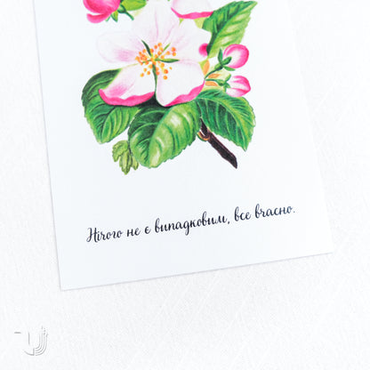 Листівка «Нічого не є випадковим»