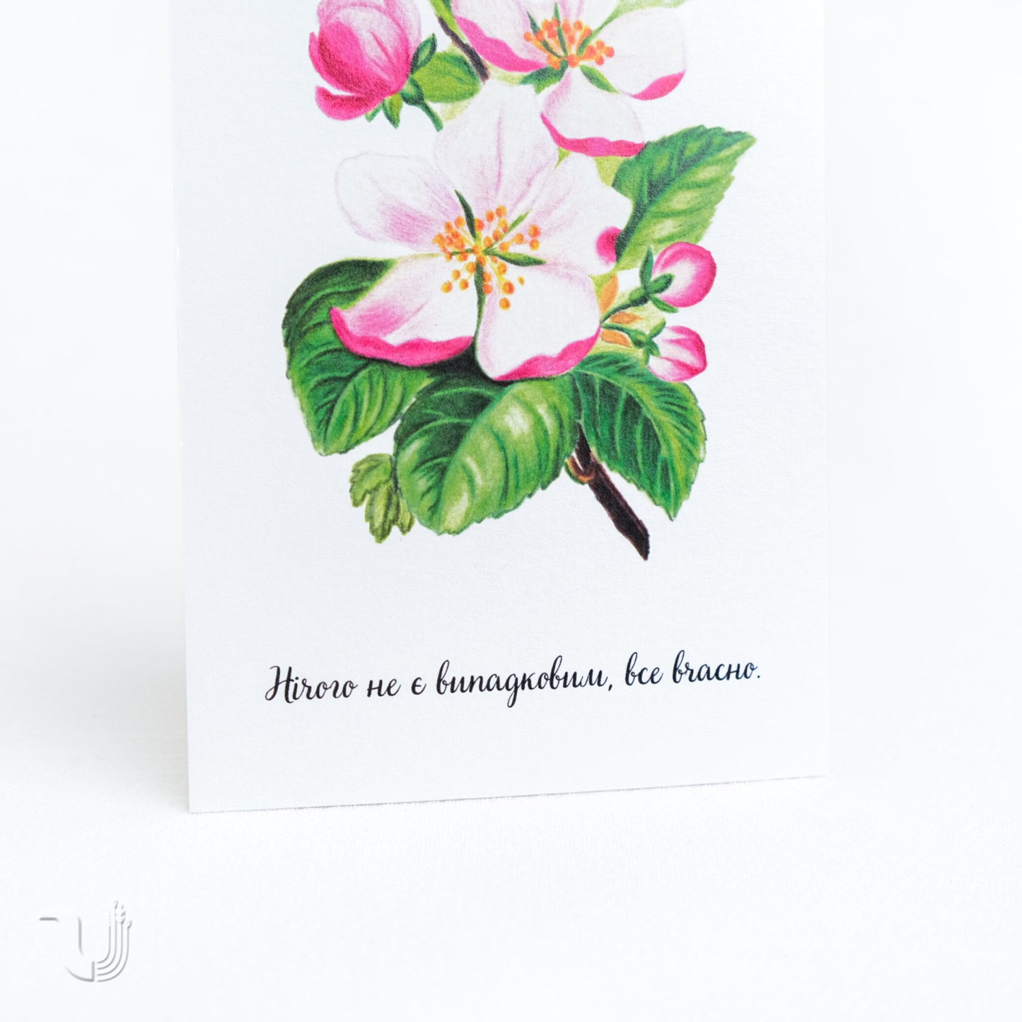 Листівка «Нічого не є випадковим»