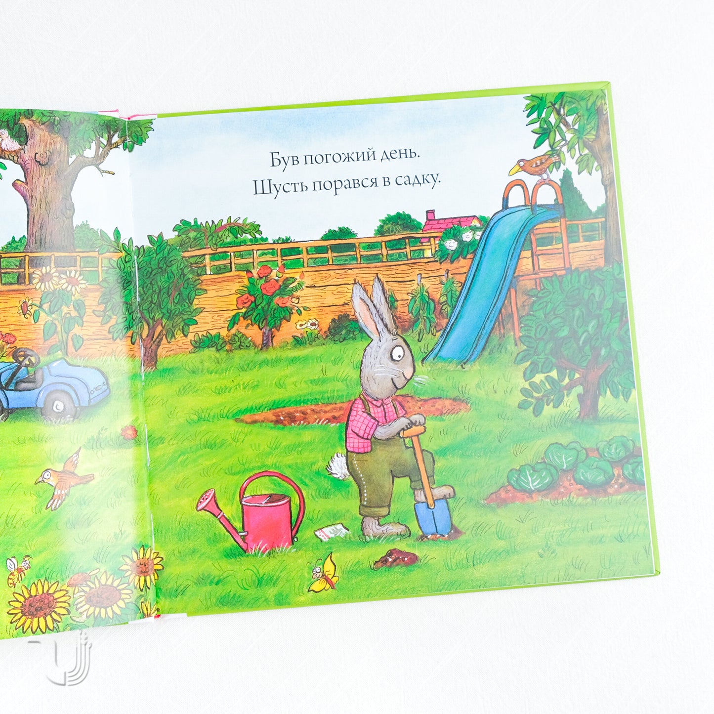 Шусть і Шуня. Приязний равлик