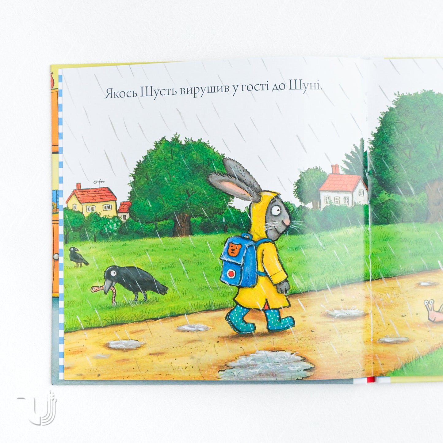 Шусть і Шуня. Калюжка