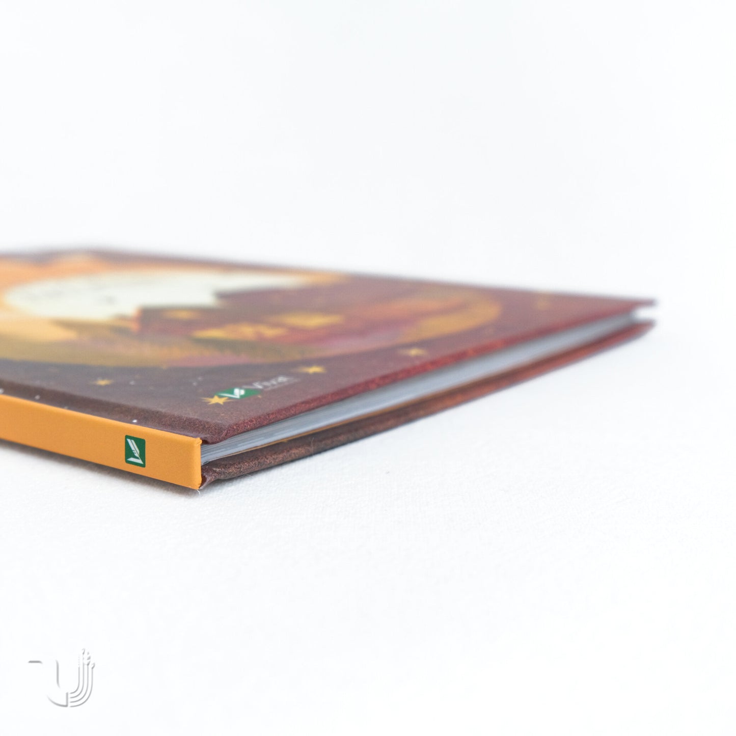 Коли я була лисицею