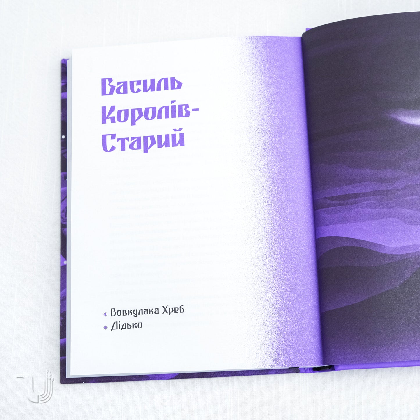 The Violet Shadow: Ukrainian Mystic Stories