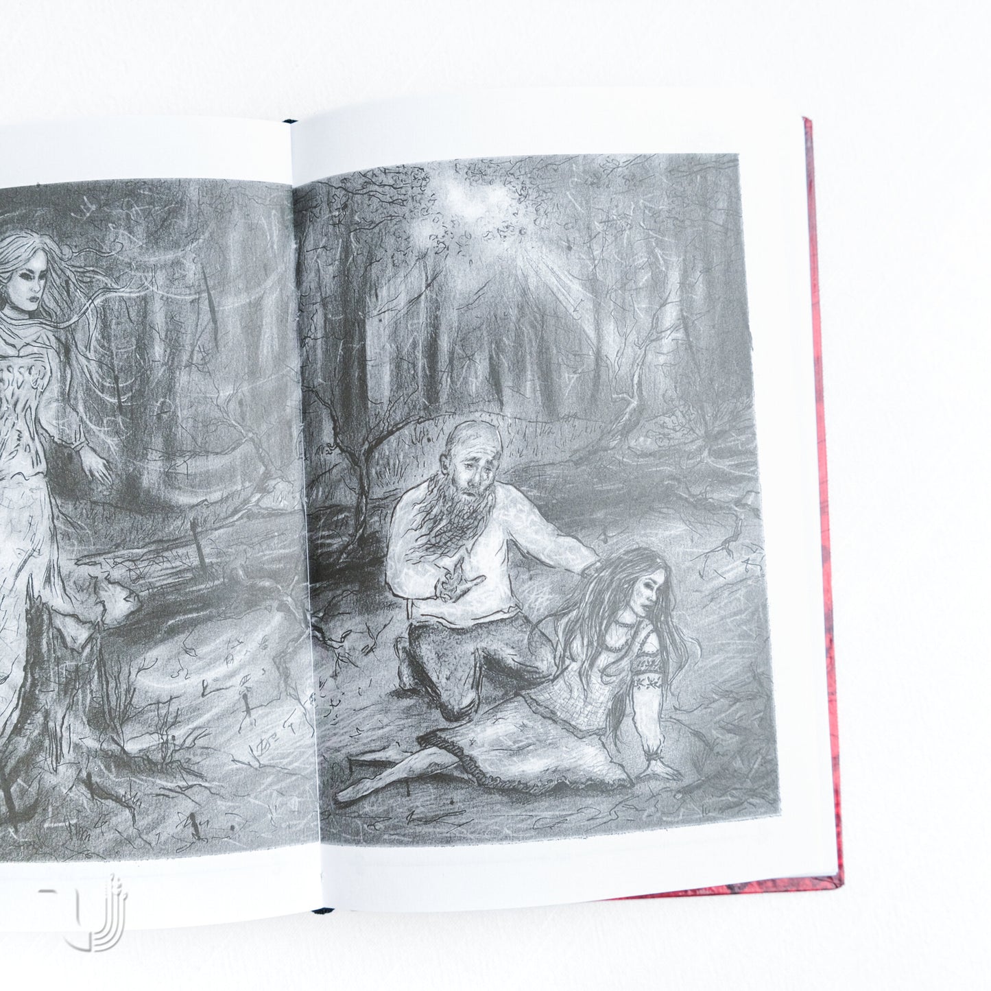 Bride + Revenge. Dilogy