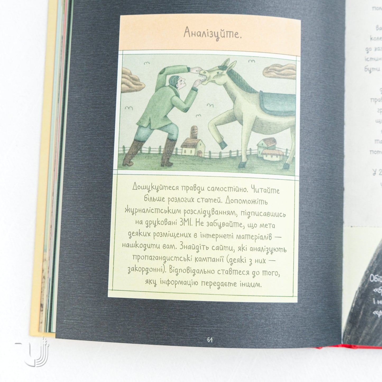 Про тиранію. Двадцять уроків двадцятого століття. Графічна адаптація