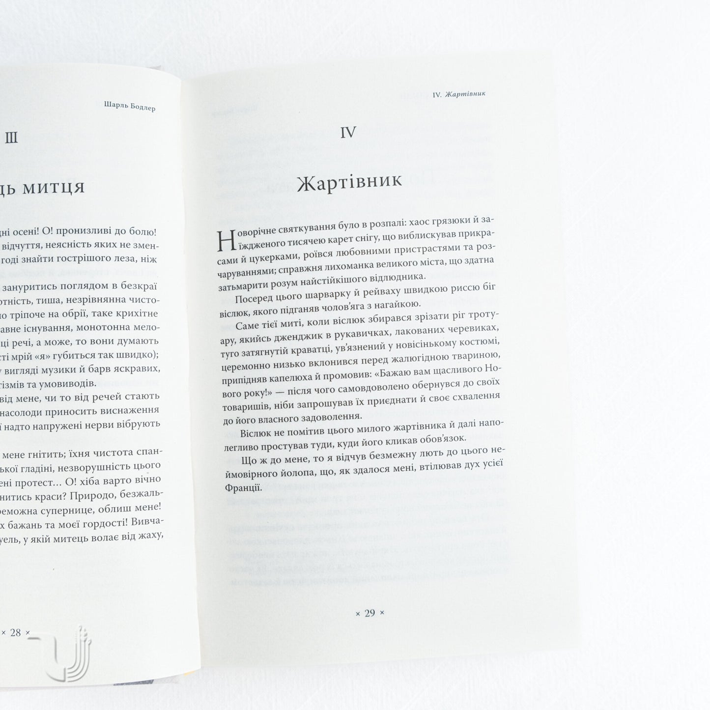 Paris Spleen. Essays