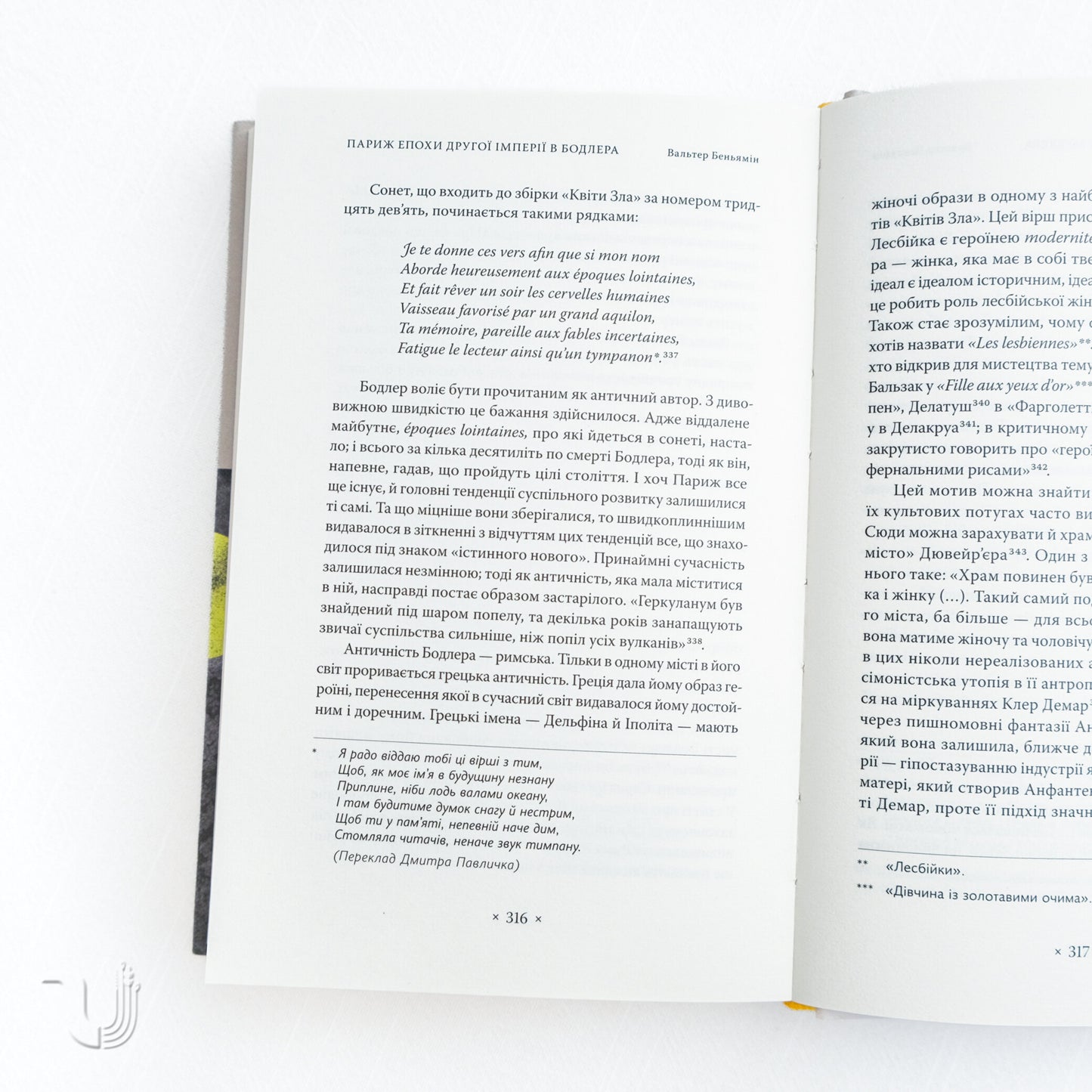 Paris Spleen. Essays