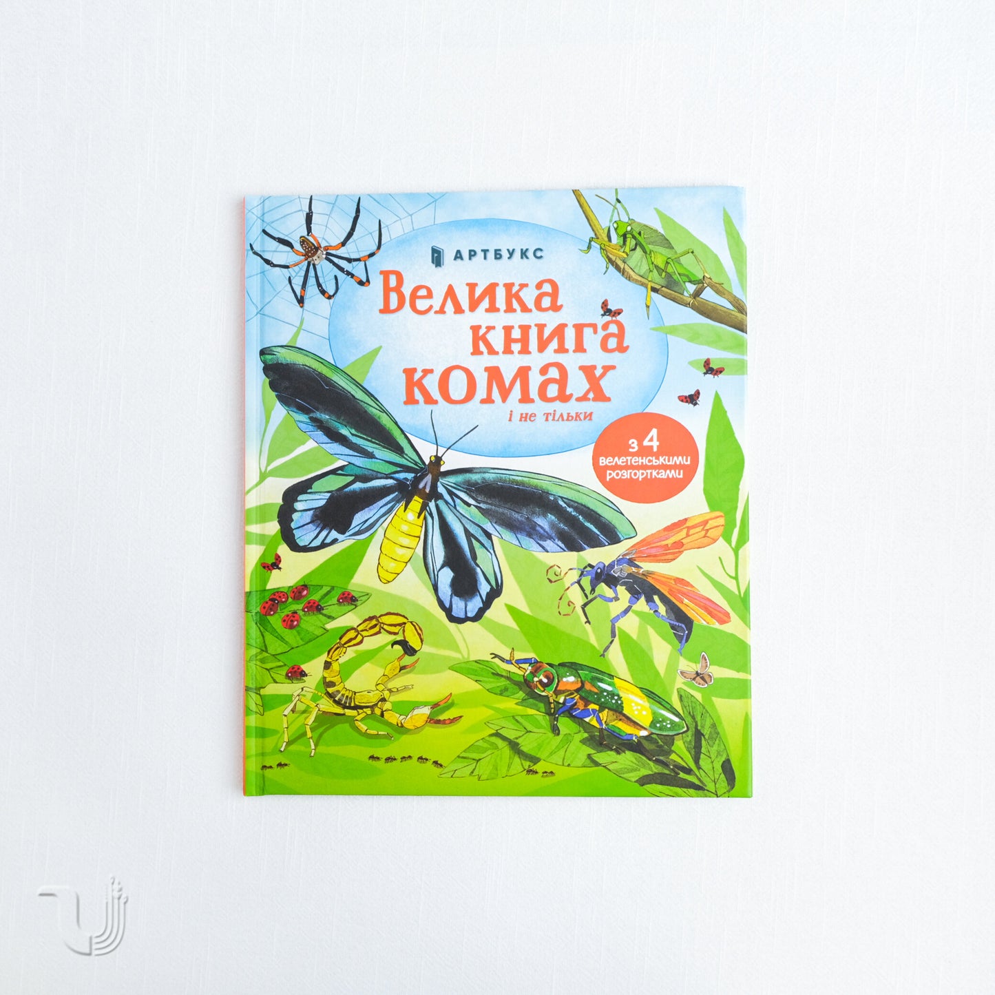 Big book of insects and not only