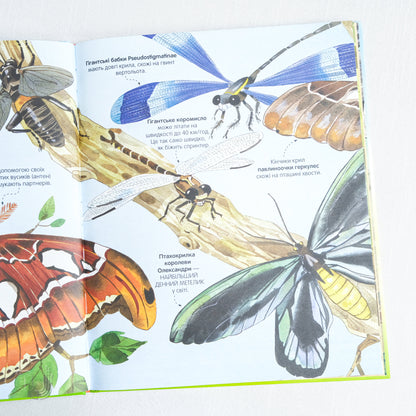 Big book of insects and not only