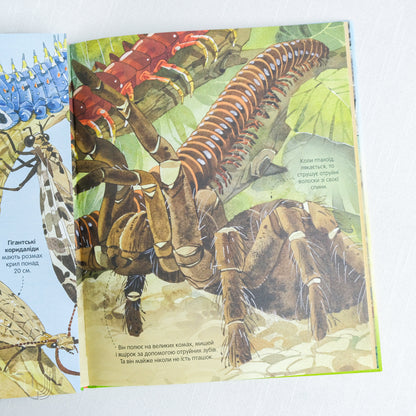 Big book of insects and not only