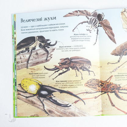 Big book of insects and not only