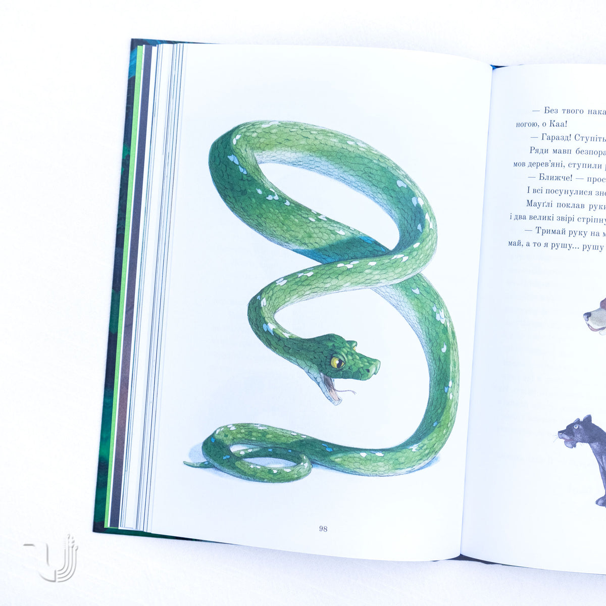 Книга джунглів