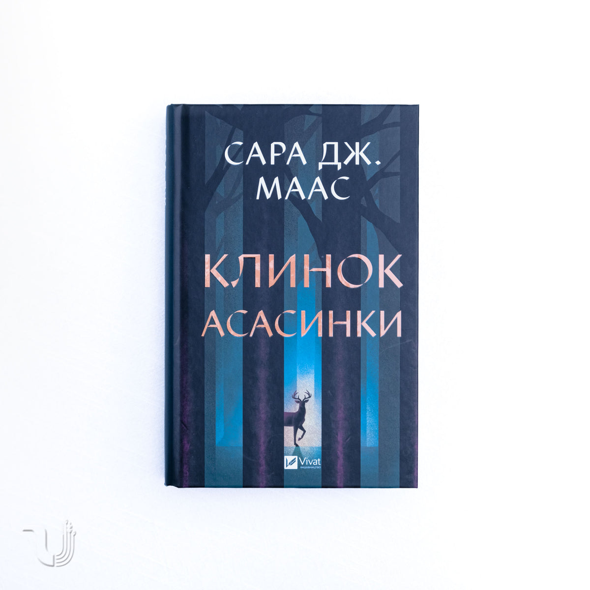 Клинок асасинки