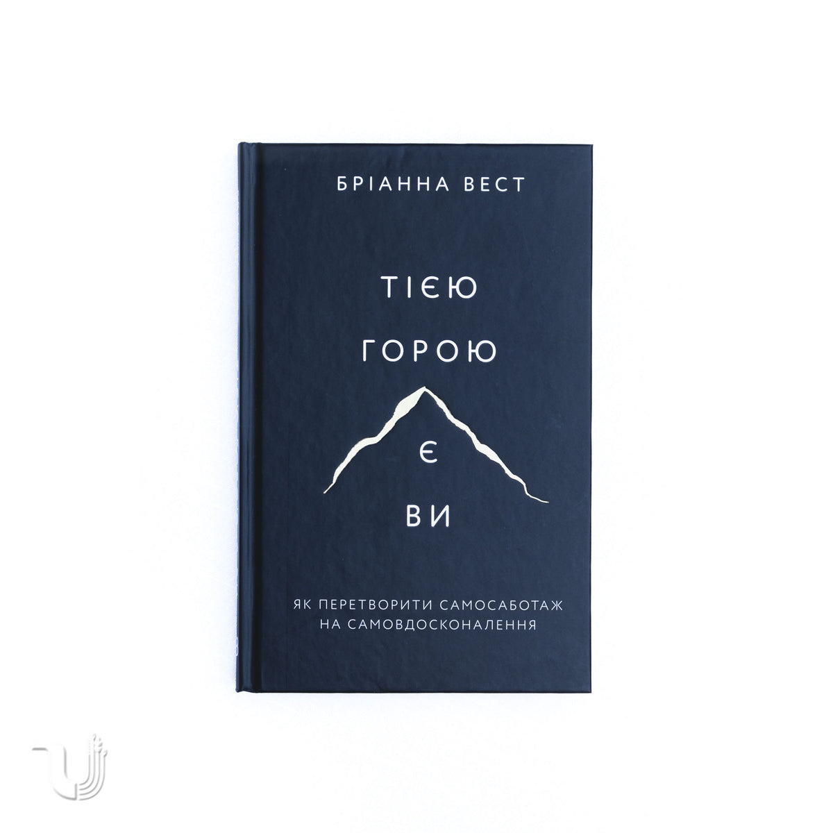The Mountain is You: Transforming Self-sabotage Into Self-mastery