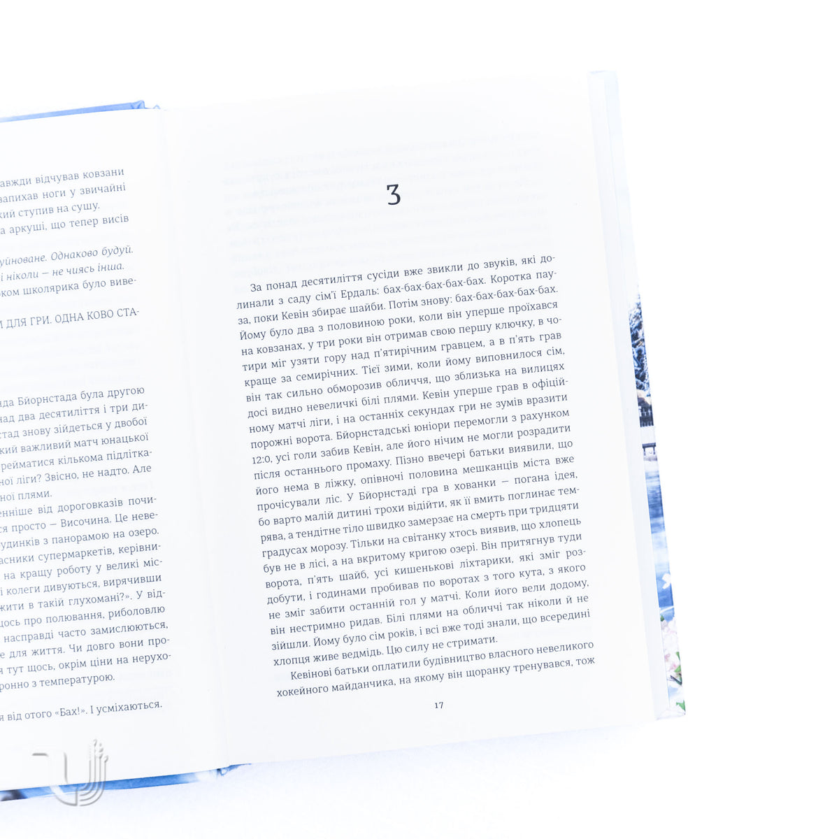 Ведмеже місто. Книга 1