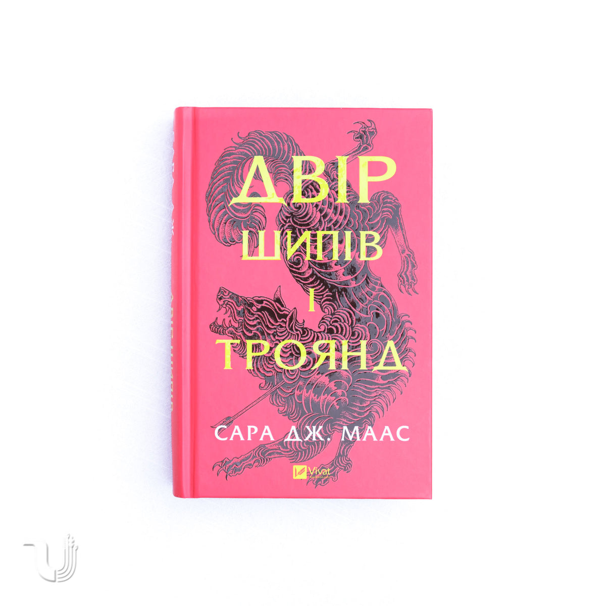 Двір шипів і троянд