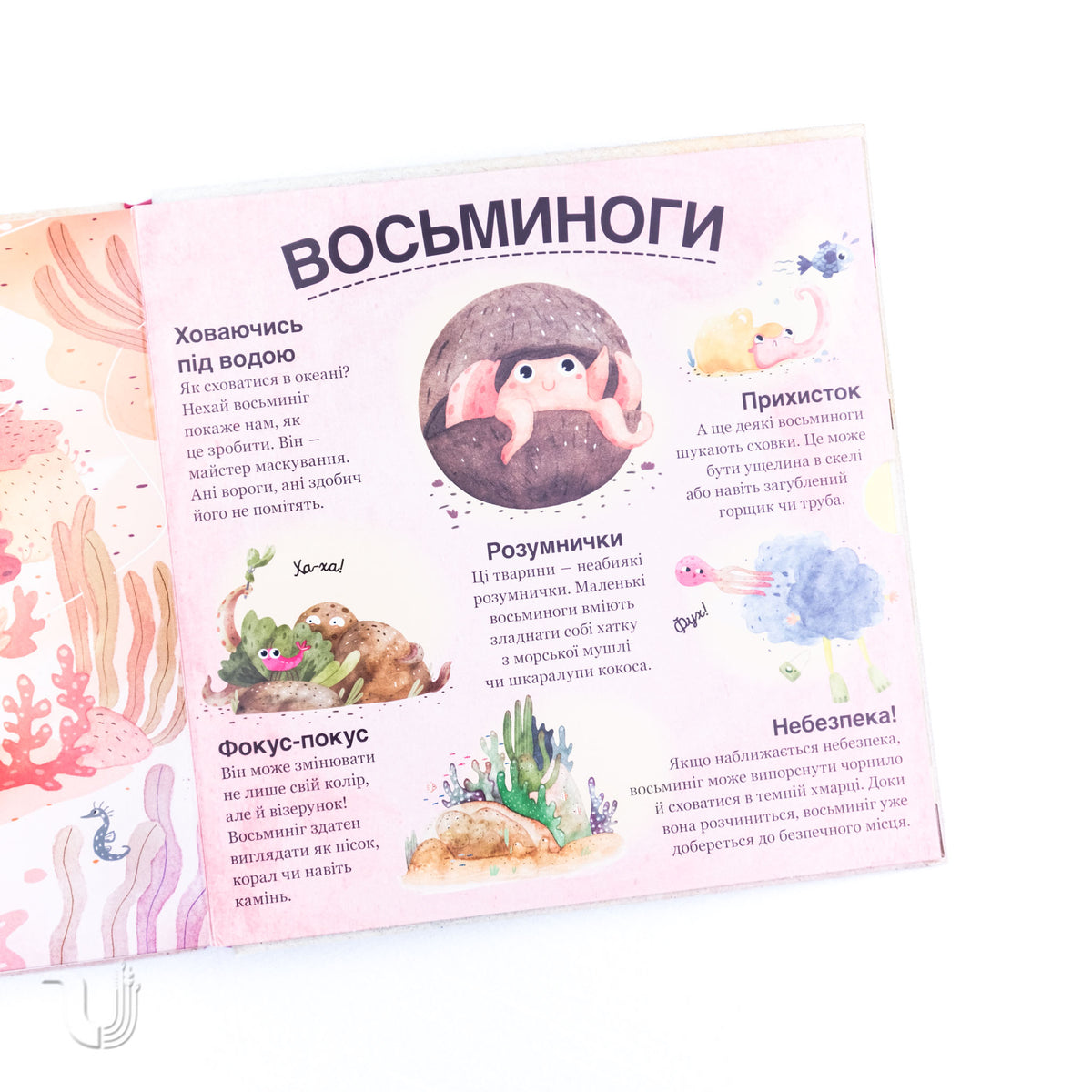 Хто ховається між листям й у воді