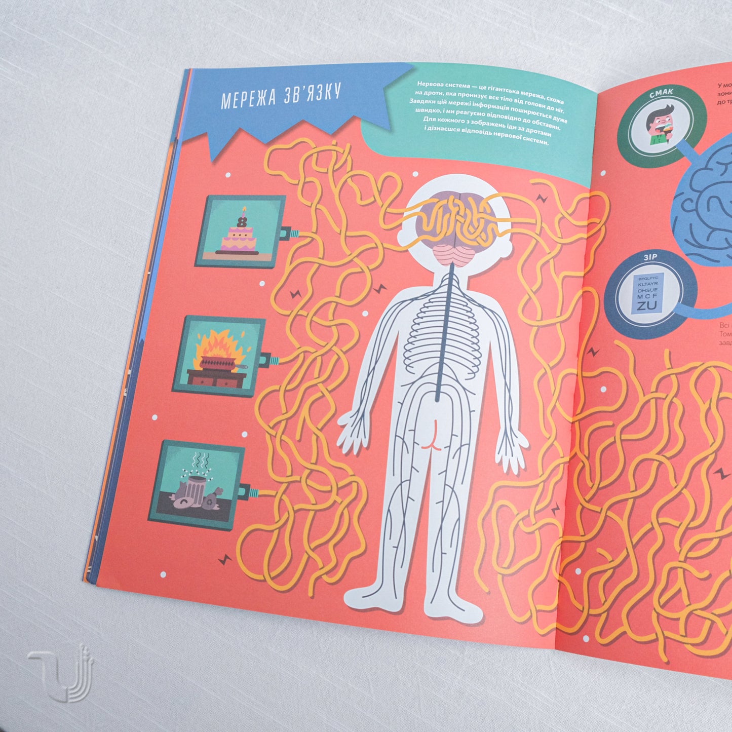 Human body. Cognitive book-game