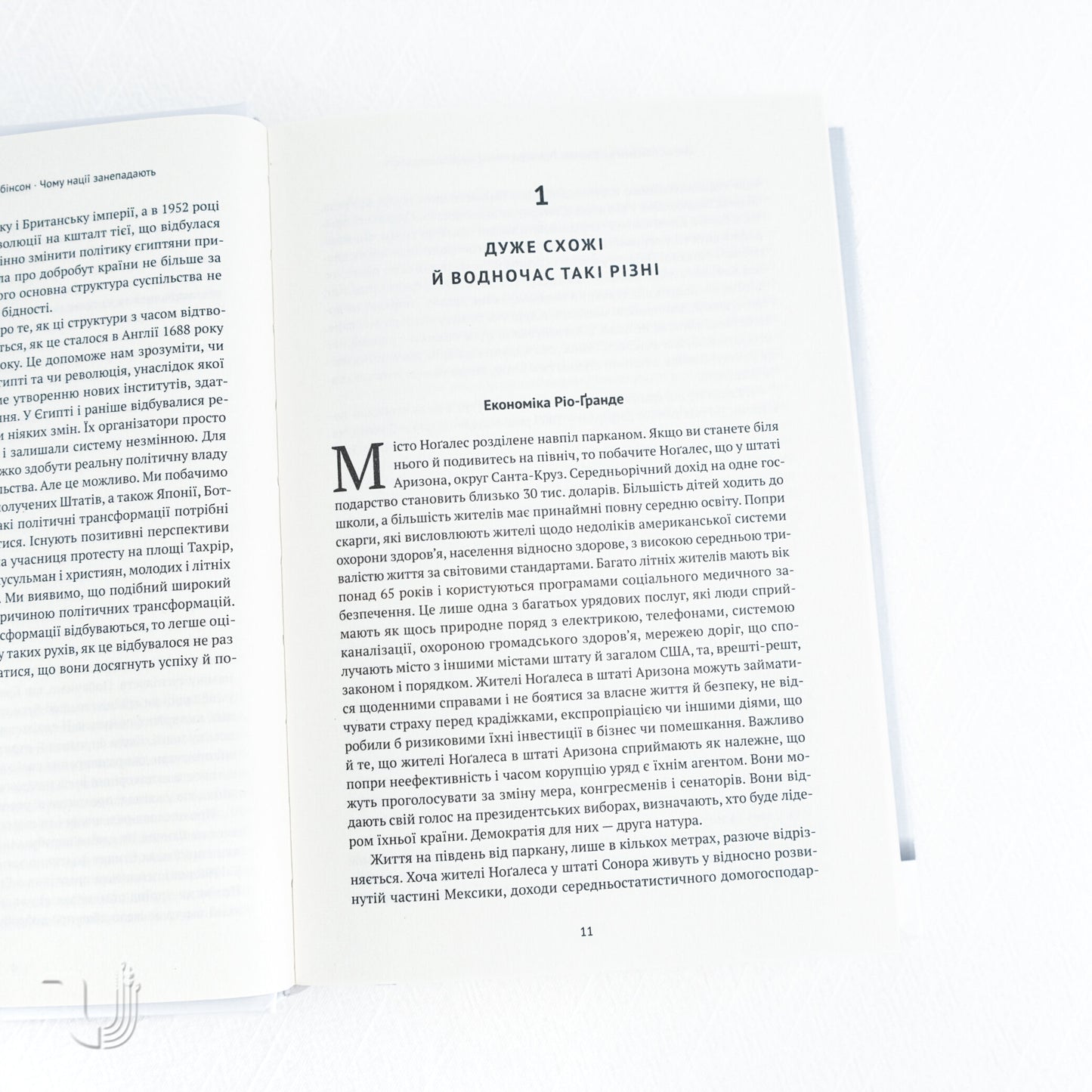 Чому нації занепадають. Походження влади, багатства і бідності