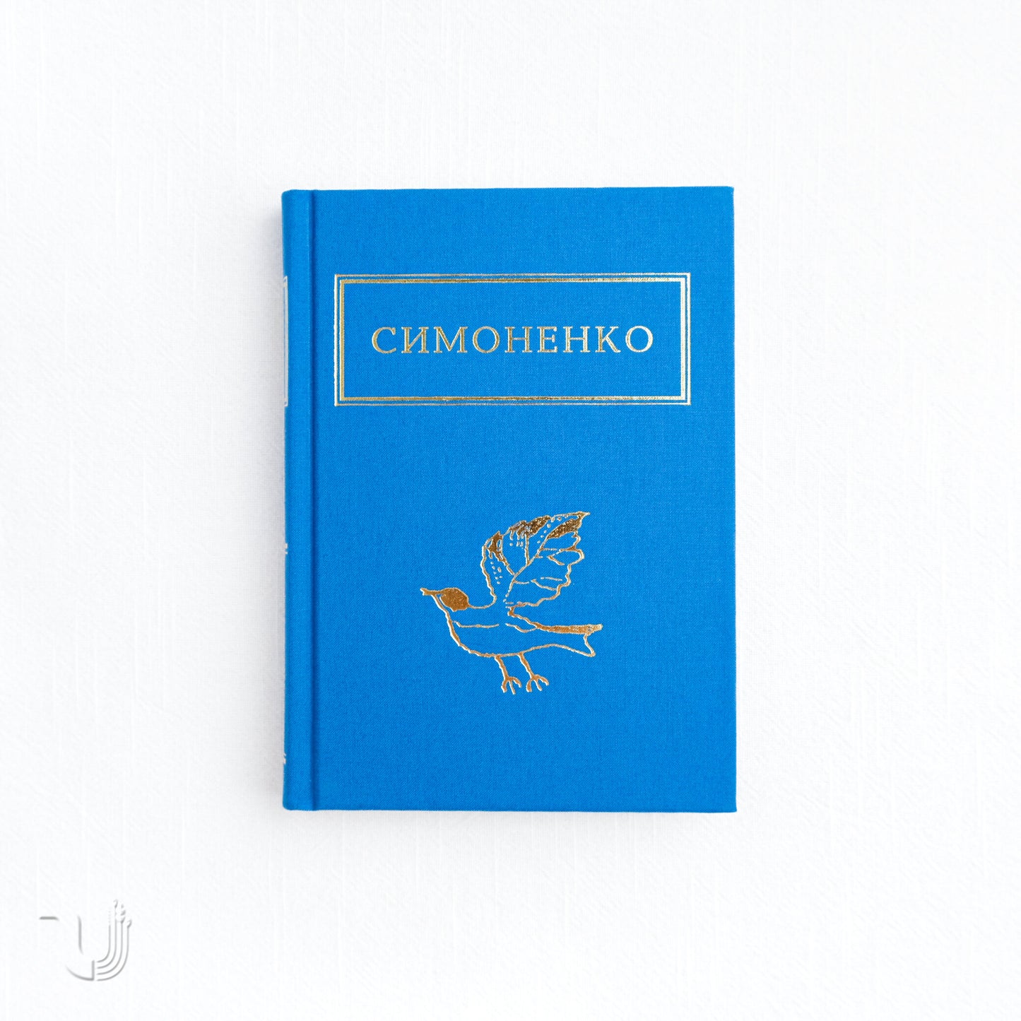 Задивляюсь у твої зіниці