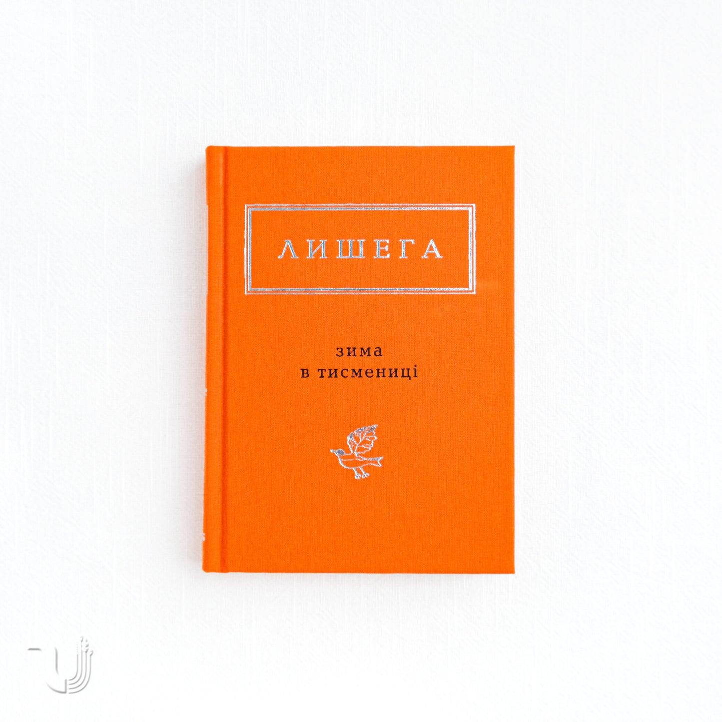 Winter in Tysmenytsia