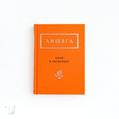 Winter in Tysmenytsia