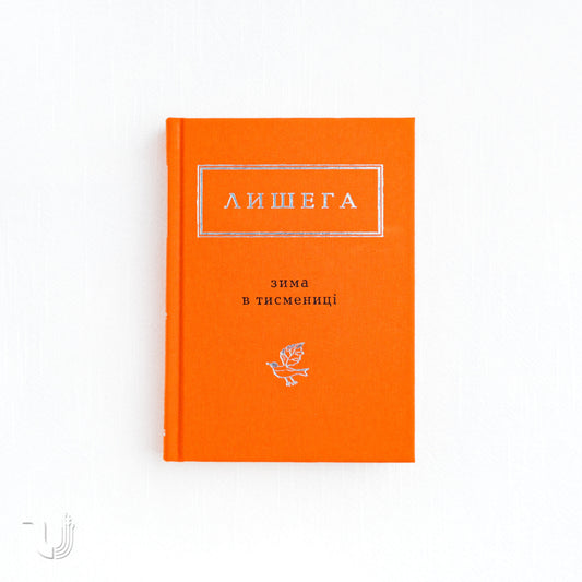 Winter in Tysmenytsia