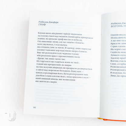 Winter in Tysmenytsia