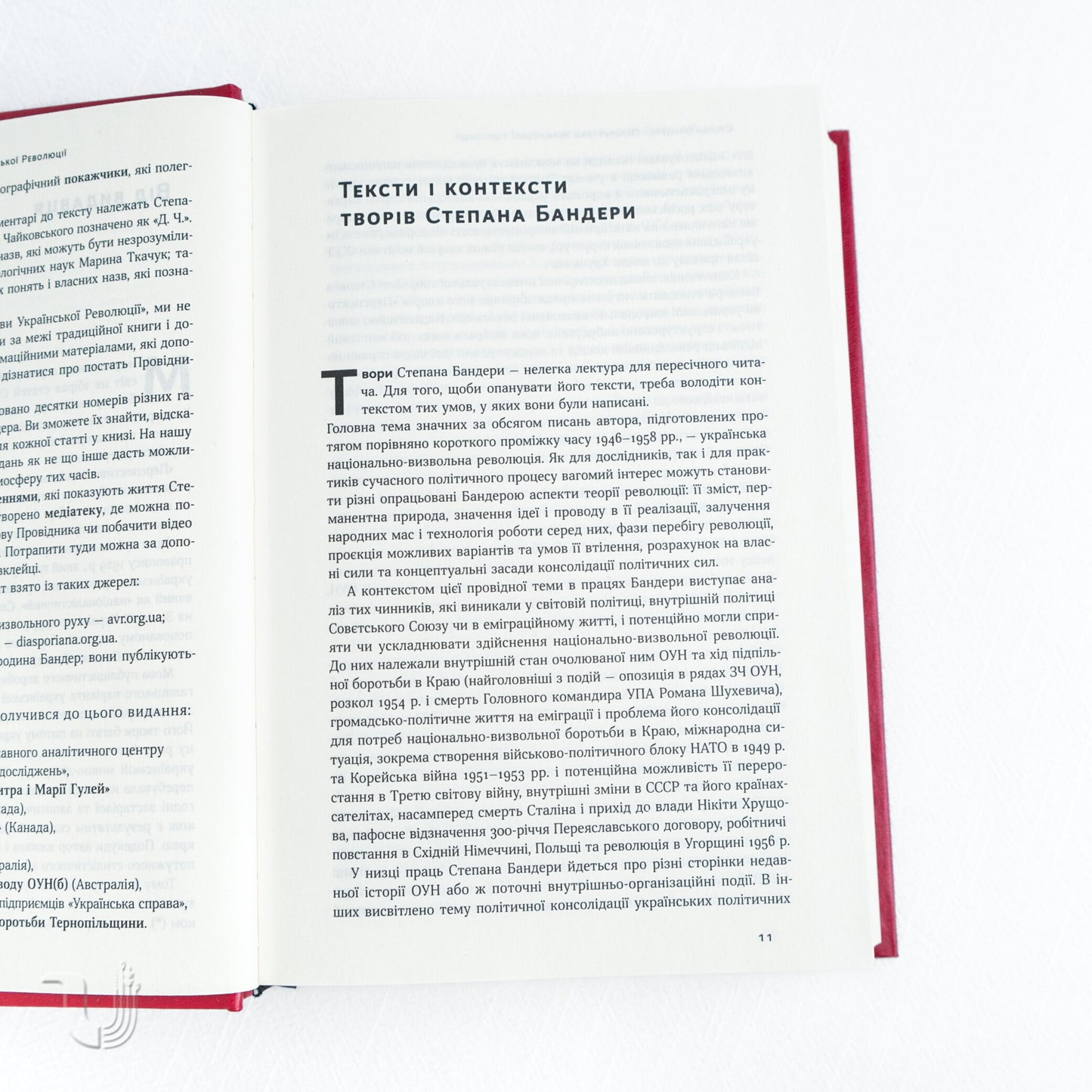 Prospects of the Ukrainian revolution