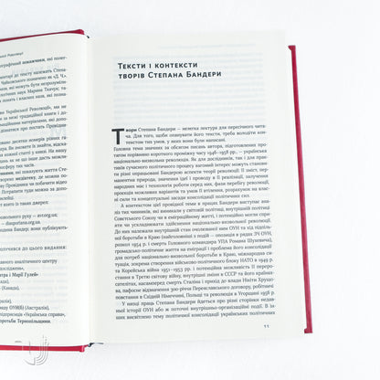 Prospects of the Ukrainian revolution