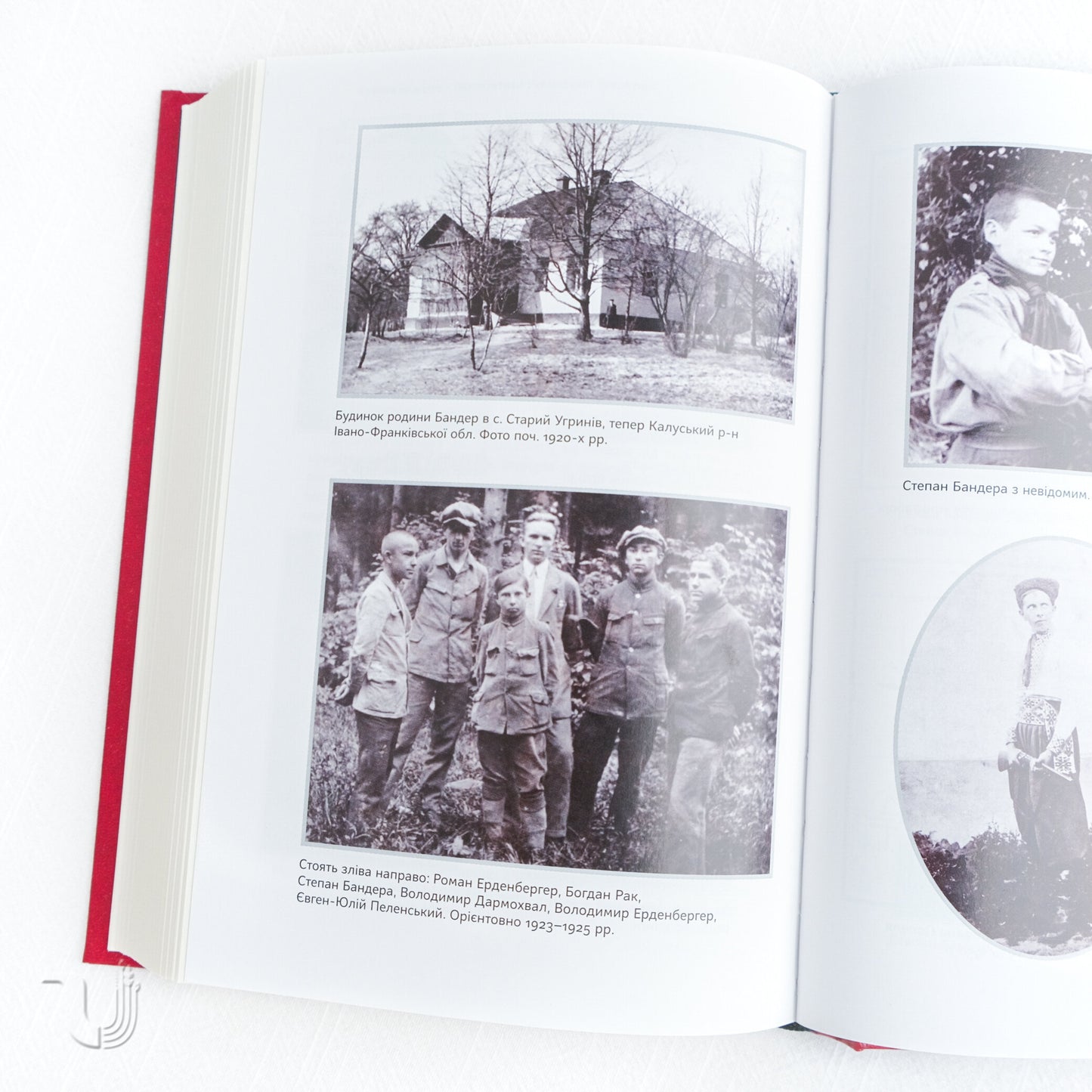 Prospects of the Ukrainian revolution