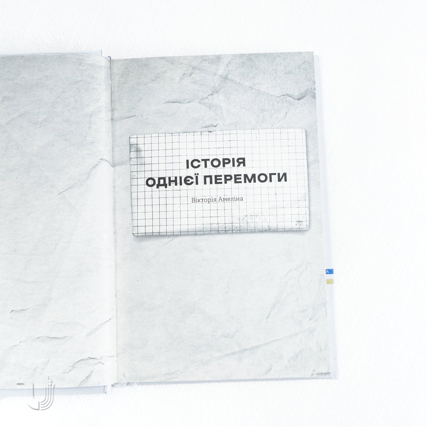 I'm transforming... Occupation Diary. Selected Poems