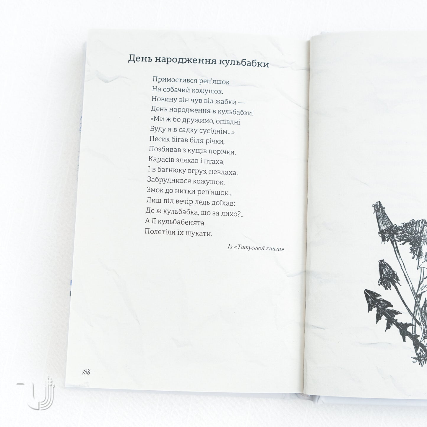 I'm transforming... Occupation Diary. Selected Poems