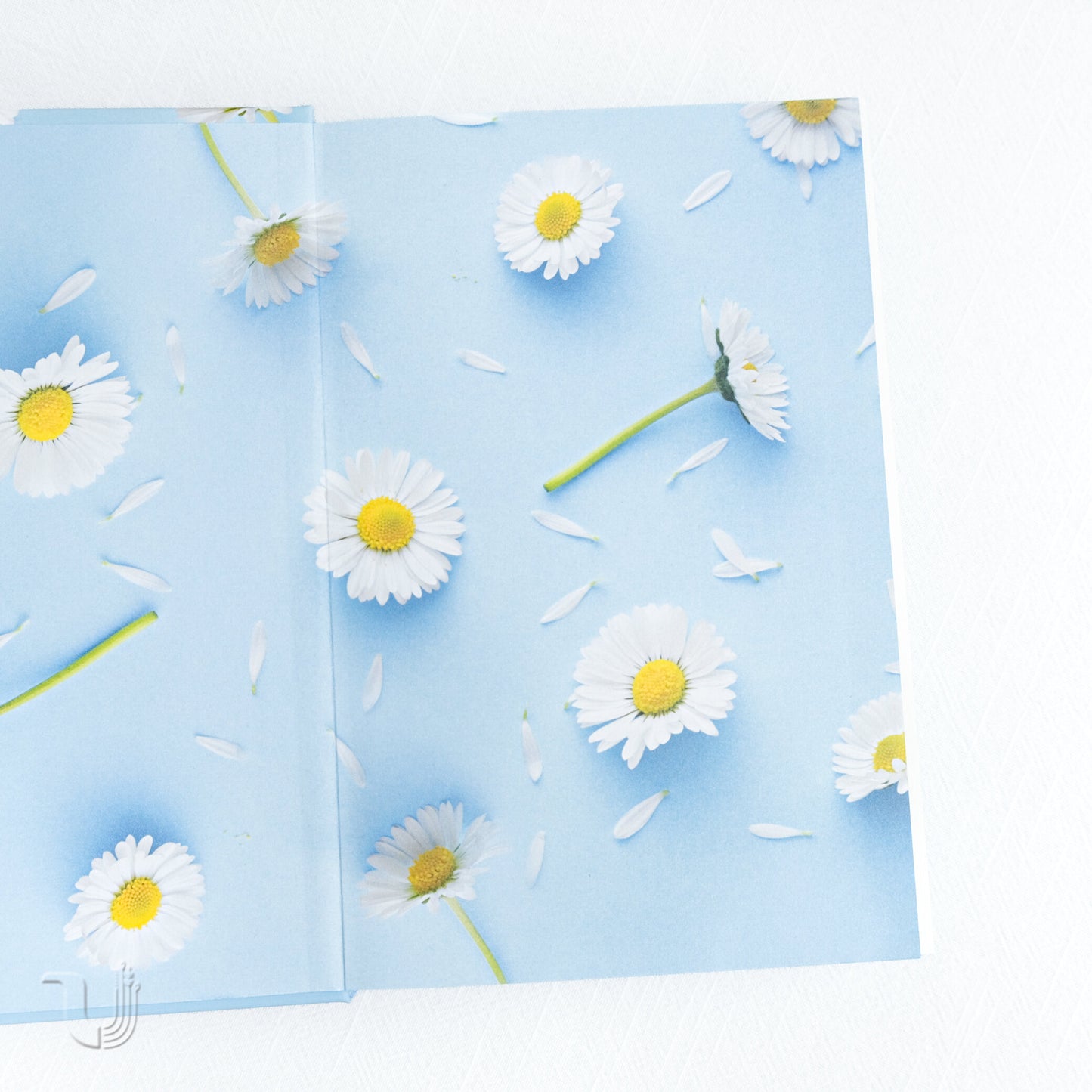 Things We Never Got Over 