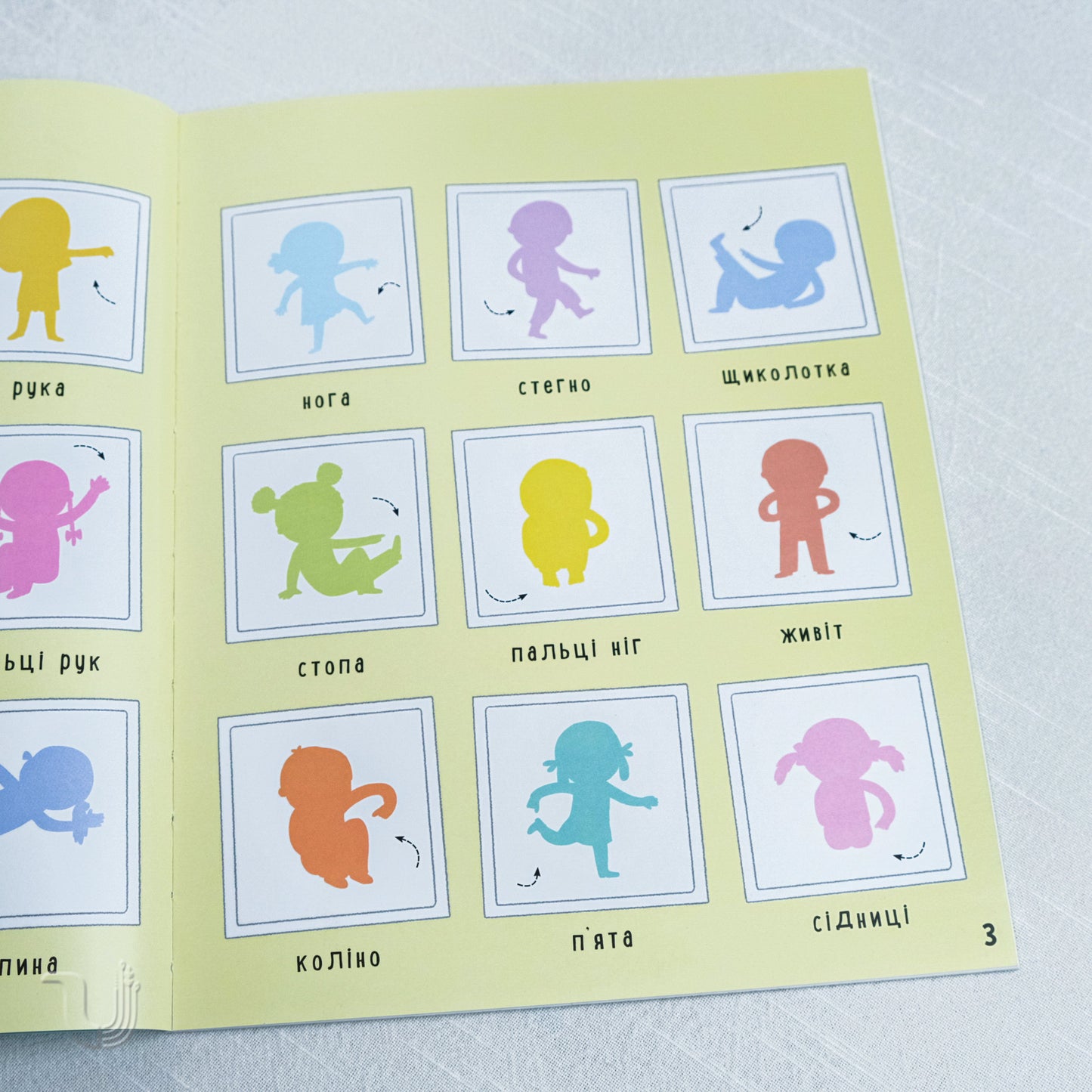 Уour body. The first sticker book