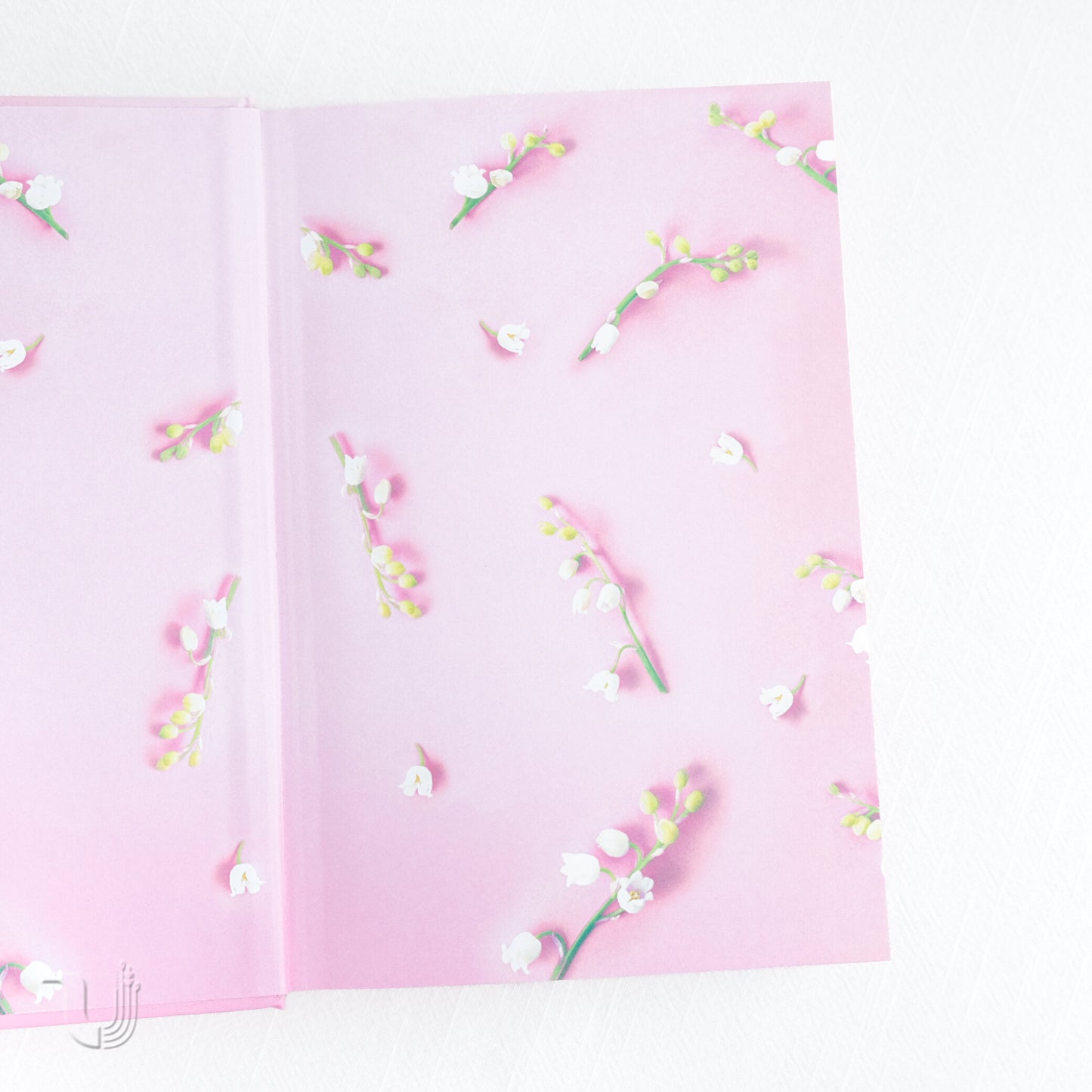 Things We Hide from the Light