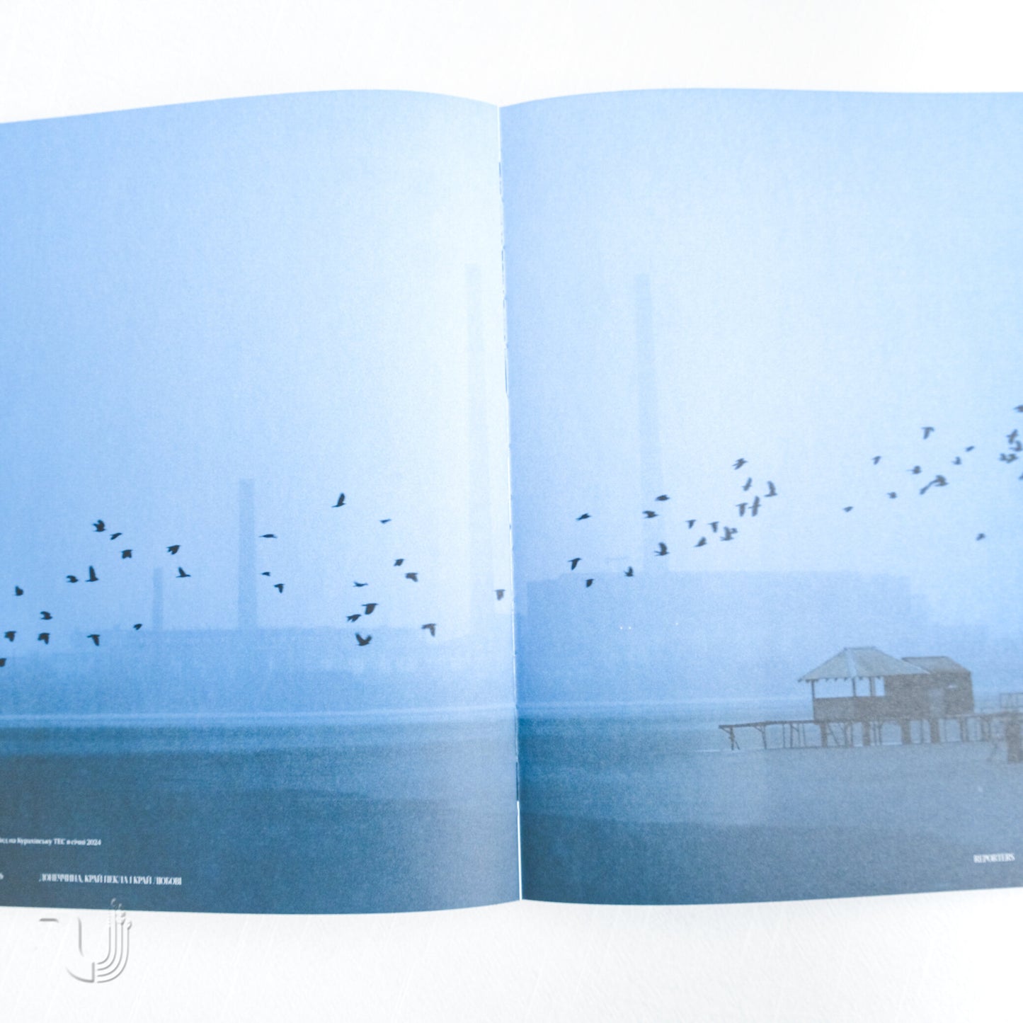 Reporters. Love In the Dark Times