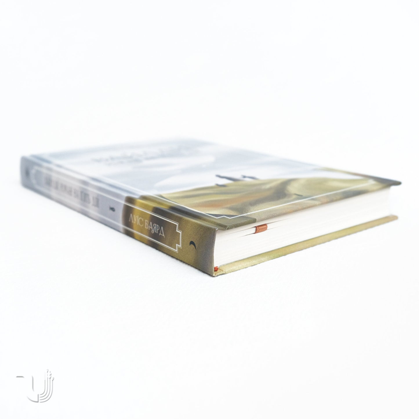 The Wildes: A Novel in Five Acts