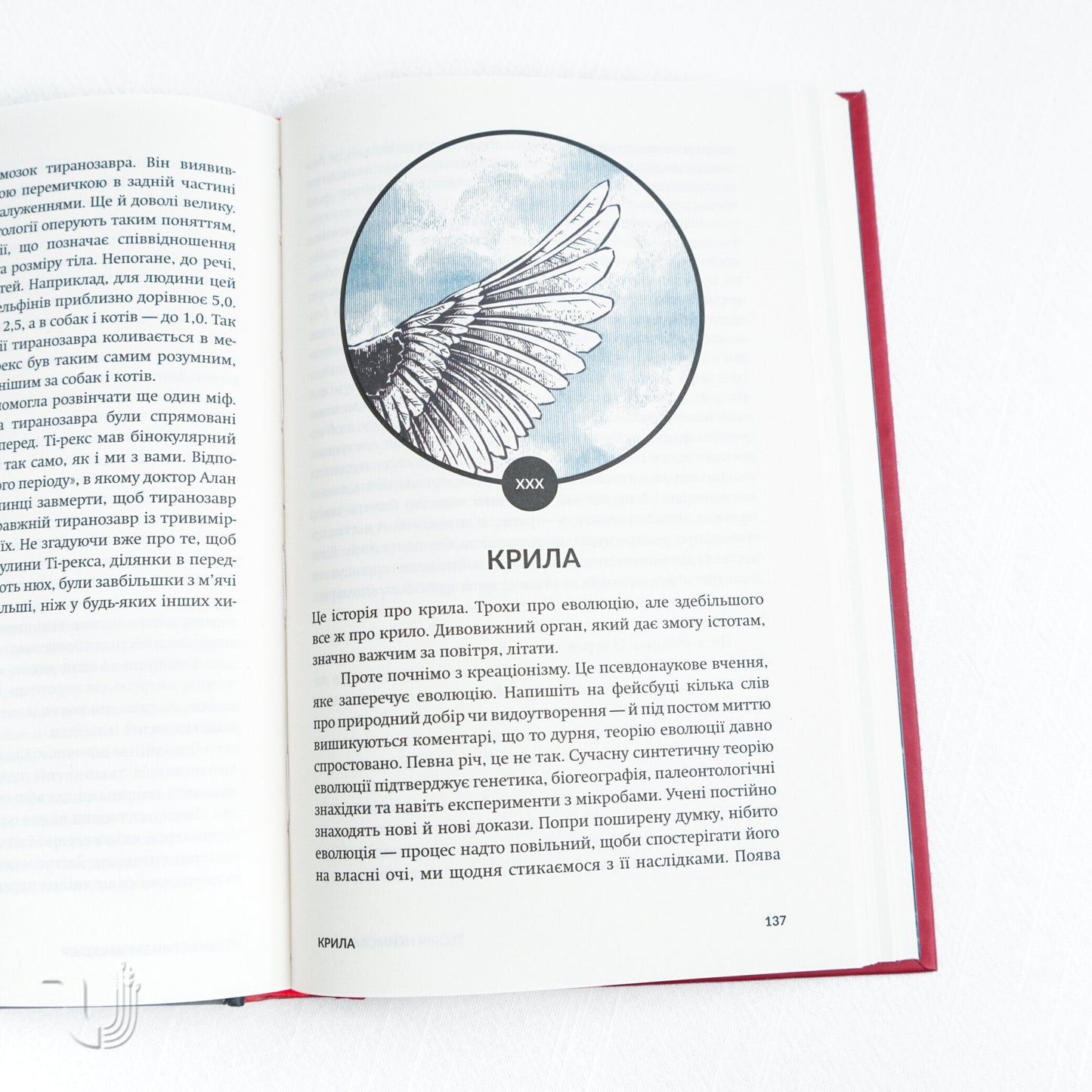 Теорія неймовірності