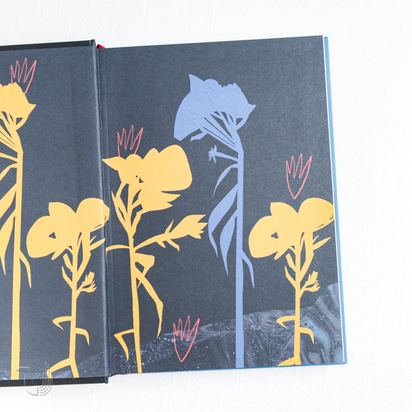 Poems From The Embrasure