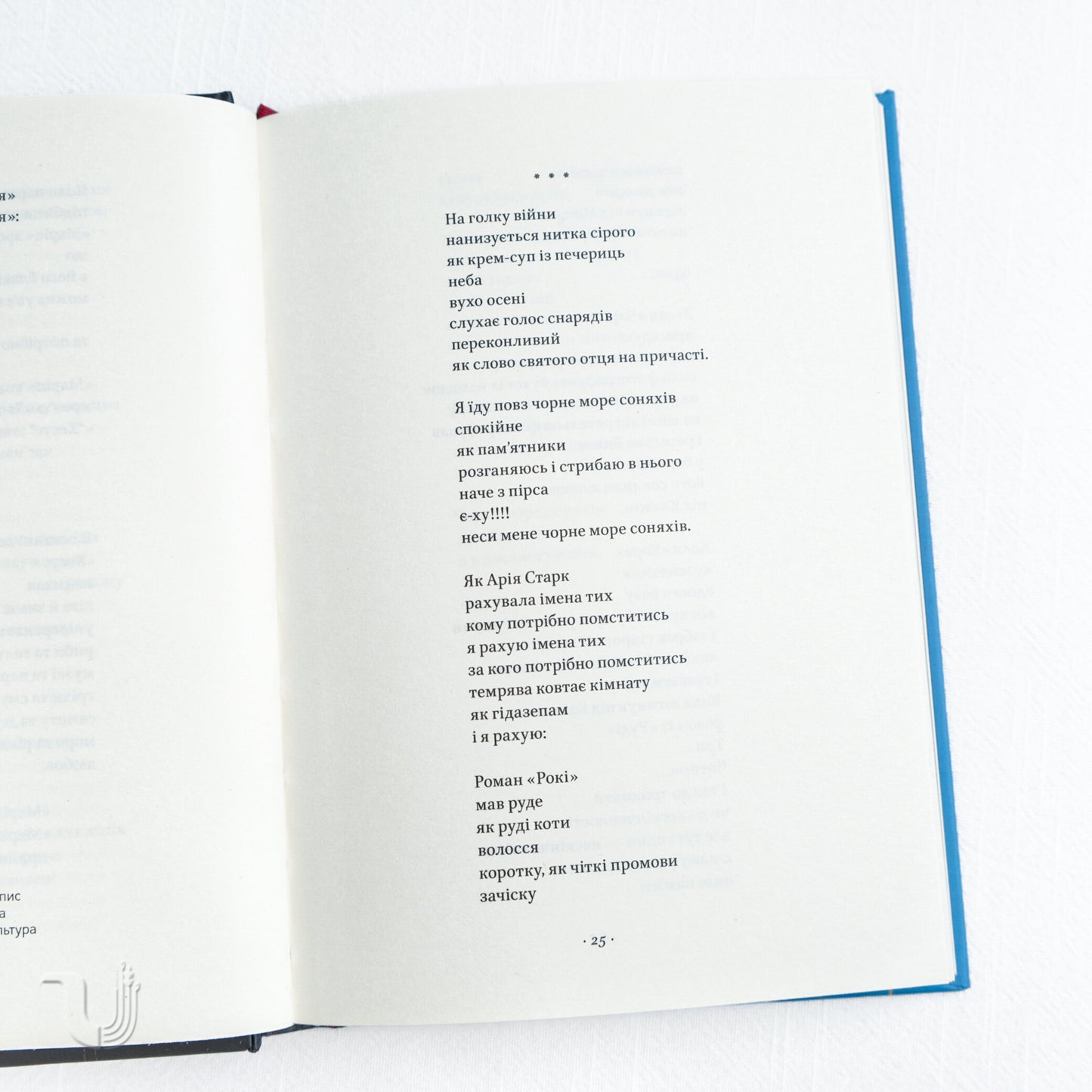 Poems From The Embrasure