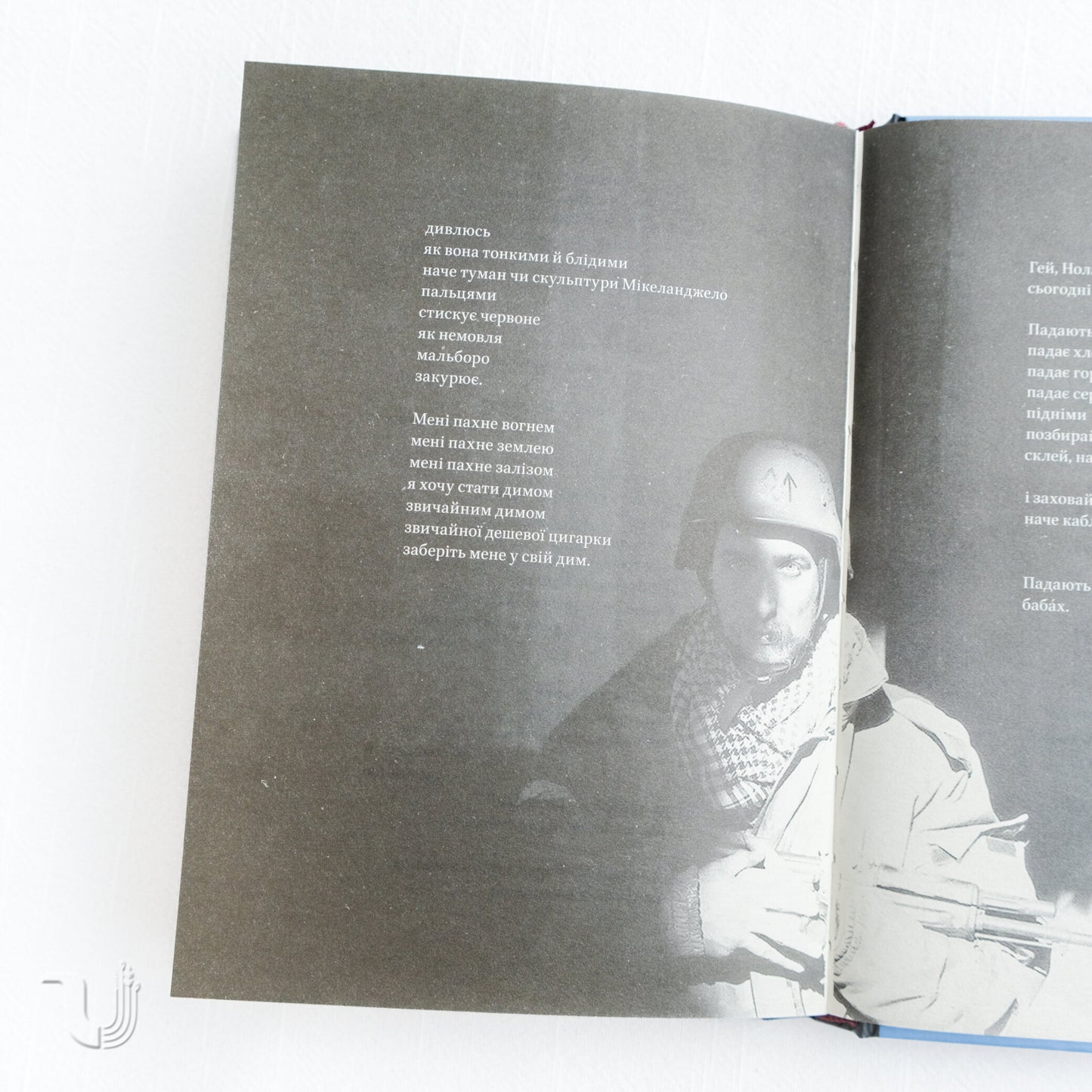 Poems From The Embrasure