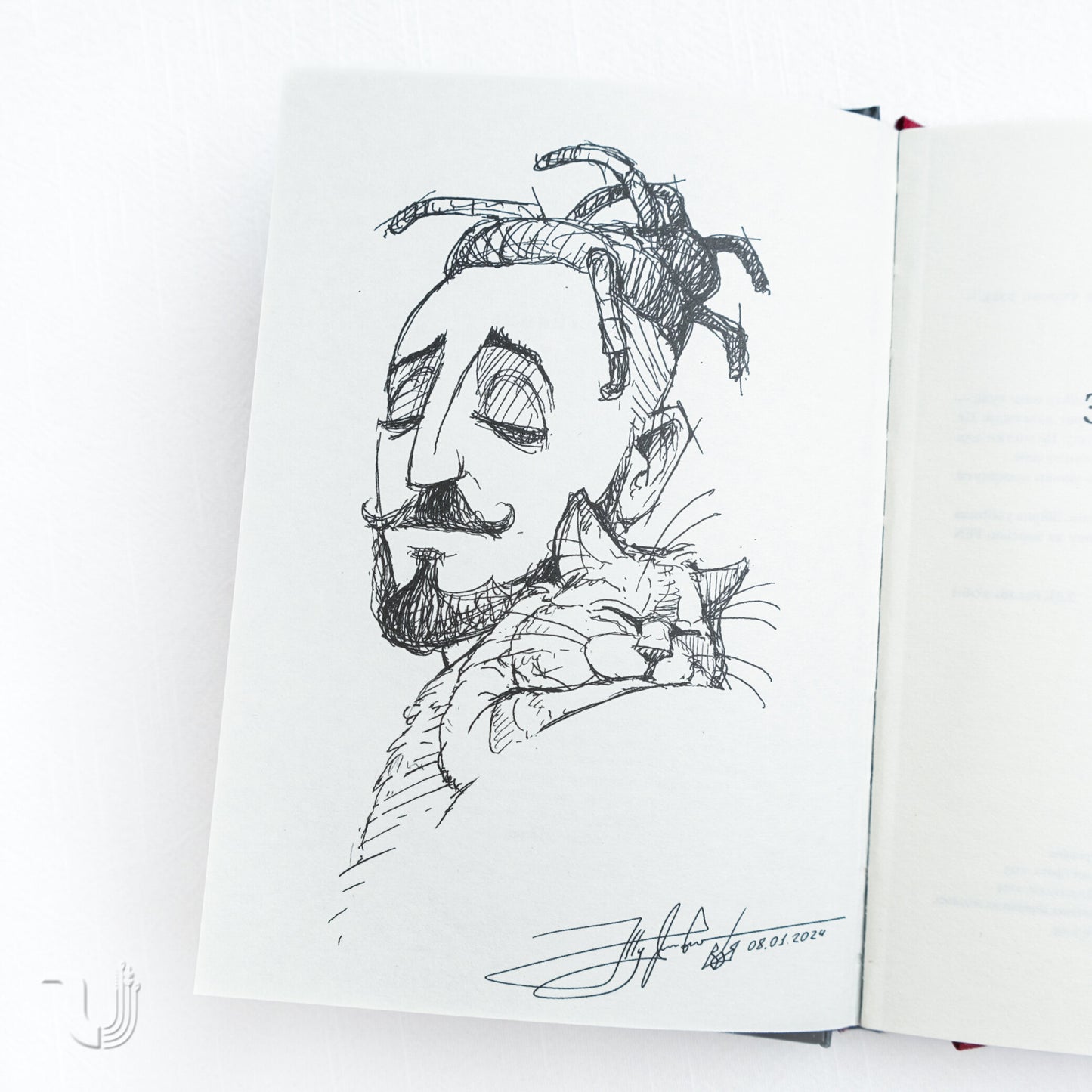 Poems From The Embrasure