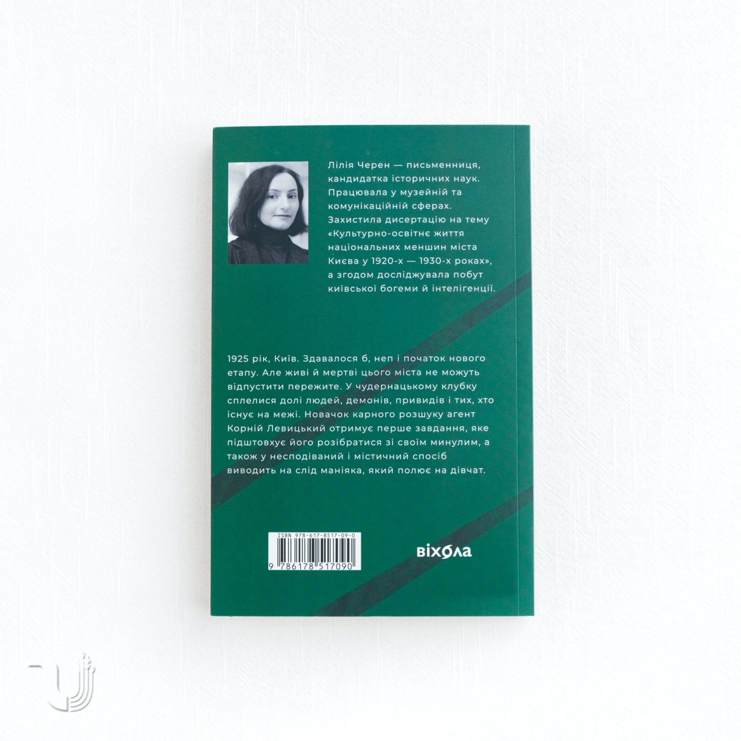 The Shadow Behind You