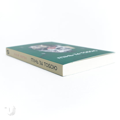 The Shadow Behind You