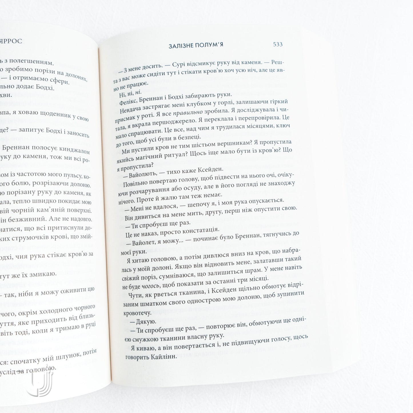 Iron Flame: Empyrean. Book 2