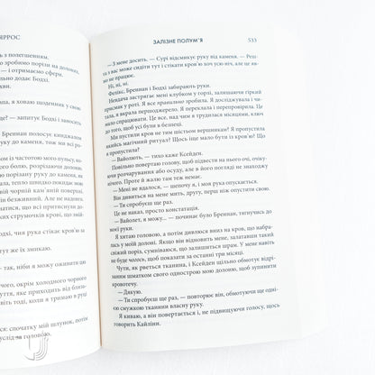 Iron Flame: Empyrean. Book 2